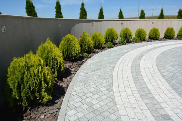 Best Driveway Paving Contractor  in Birdsboro, PA